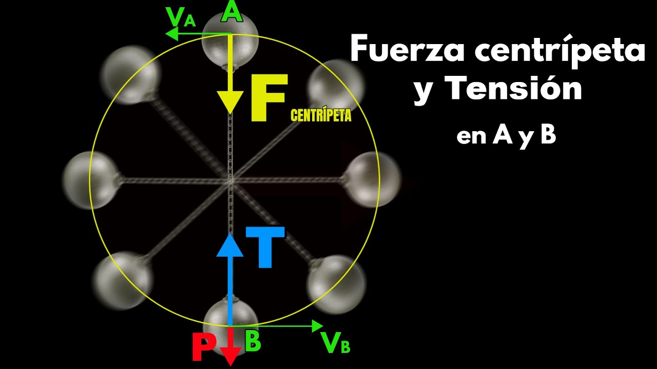 Fuerza centrípeta y Tensión en una cuerda con una bola girando en un plano vertical