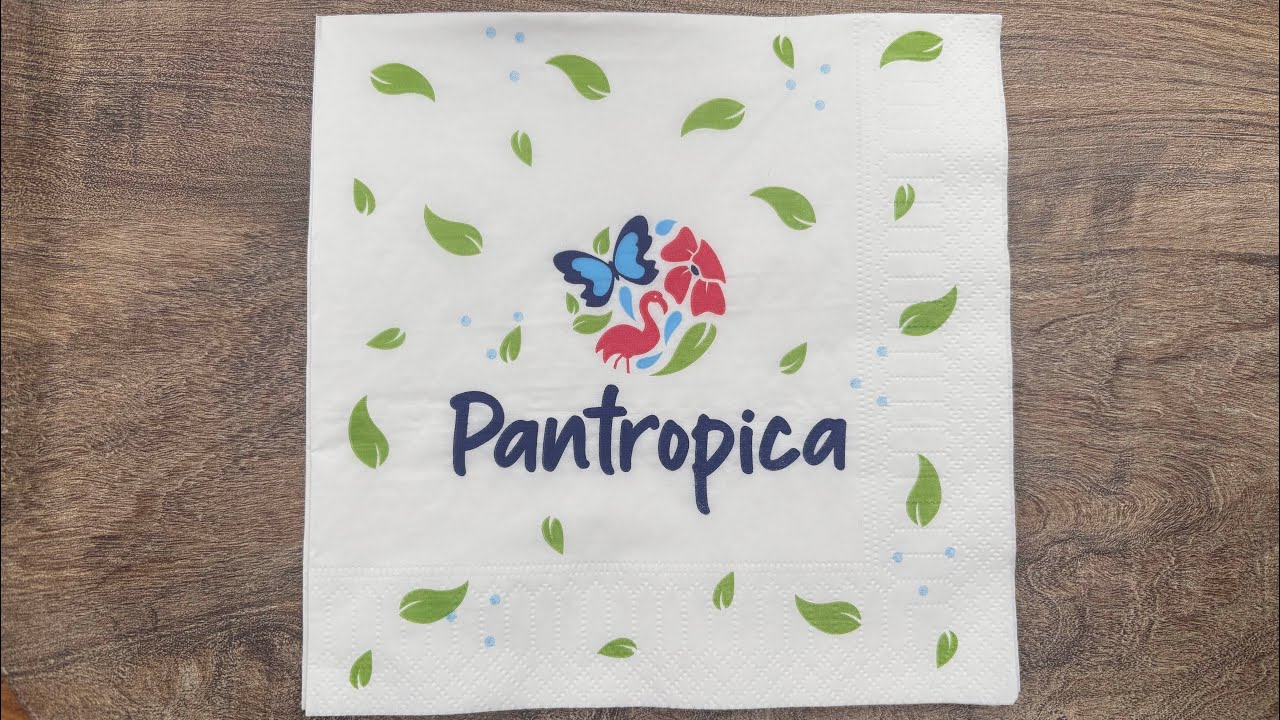 Vakantie vlog II Dagje Pantropica
