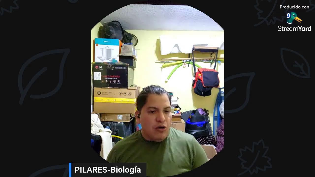 Examen Unico/Colbach Sesion 29/09/2025