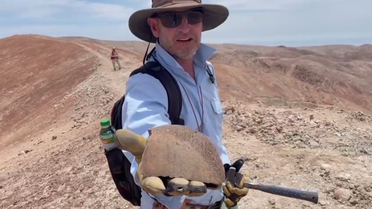 Radius Gold - Tierra Roja Copper Project tour