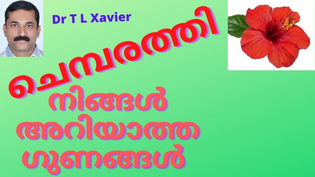 How to use Hibiscus Tea for Weight Loss |Anti aging skin care tips Malayalam |Dr T L Xavier Ayurveda