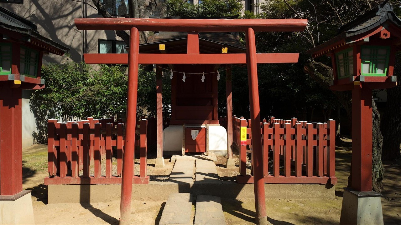 ЯПОНИЯ | ВЛОГ | Похождения по Японии. JAPAN