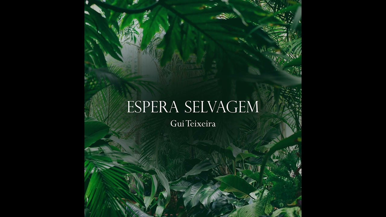 Espera Selvagem - Gui Teixeira 🍃 #musica #autoconhecimento #novampb #music 