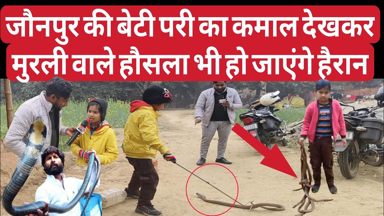 Jaunpur : खतरनाक कोबरा सांपों से खेलने वाली बेटी । मुरलीवाले हौंसला भी हुए हैरान 