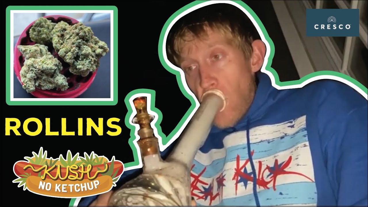 Rollins Strain Review | KUSH NO KETCHUP
