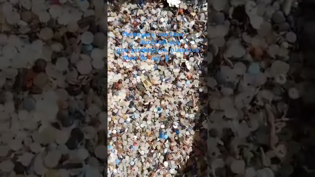These are nurdles...#sustainme #sustainability #plastic #plasticpollution #nurdles #microplastic