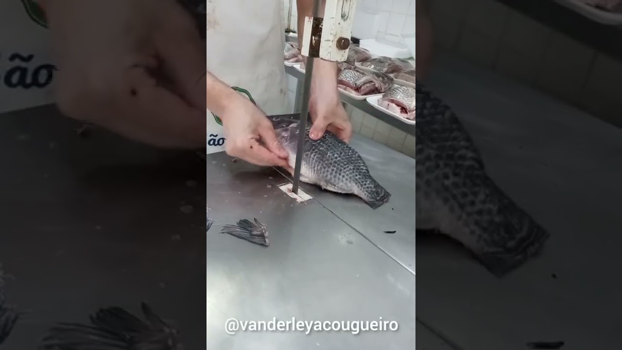 peixe til&aacute;pia na serra. @vanderleyacougueiro