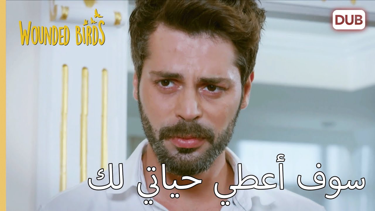 سوف أعطي حياتي لك  |   الطيور المجروحة 96