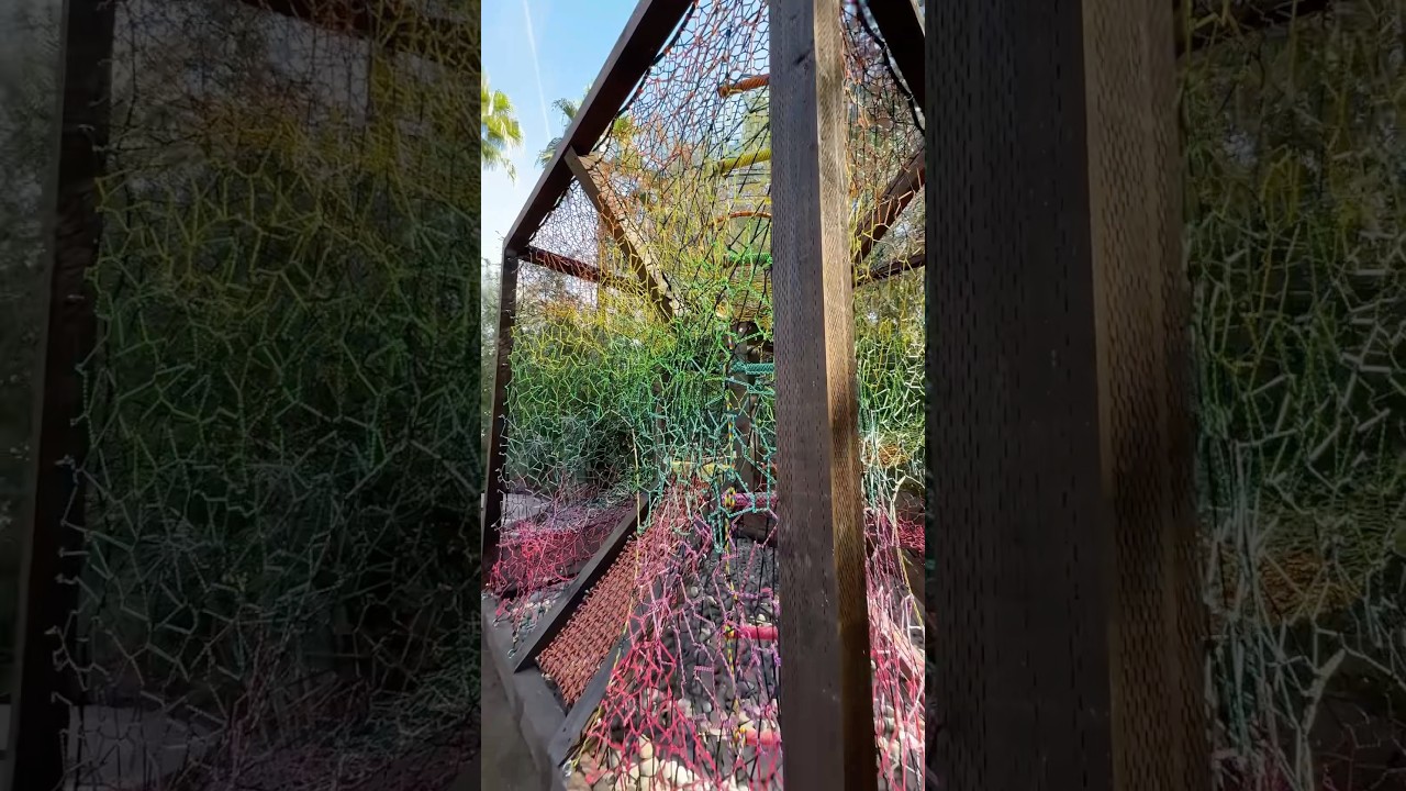 Dad builds rainbow maze playground! 😲
