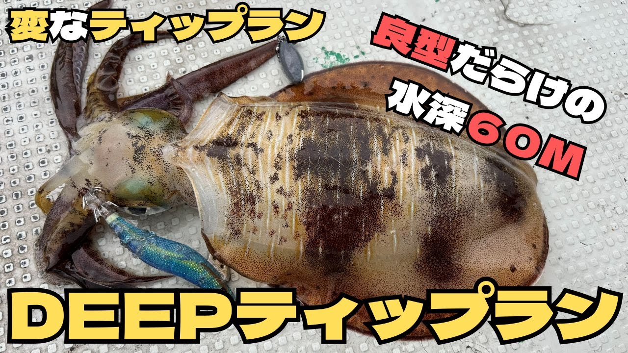 【ティップラン】　深場は良型の宝庫