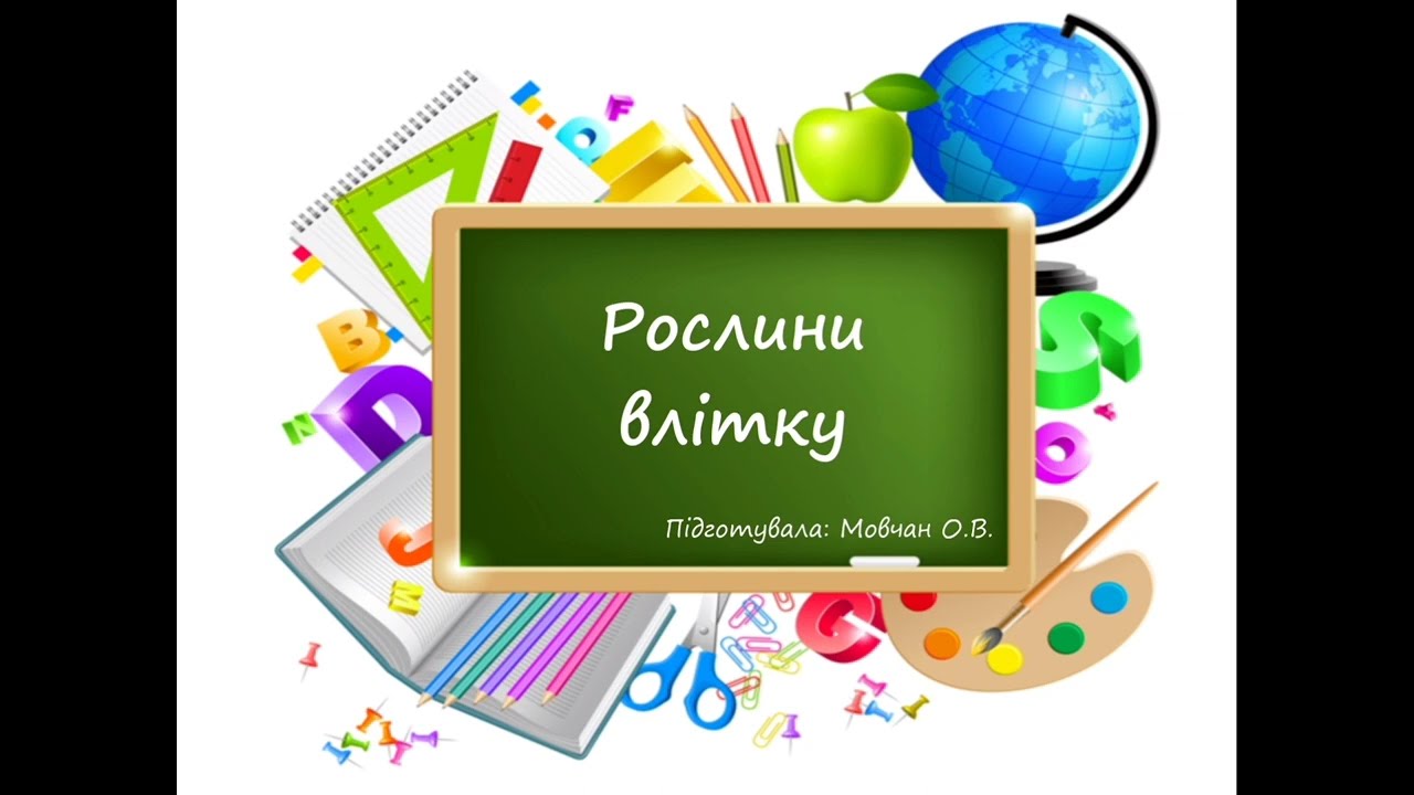 Рослини влітку