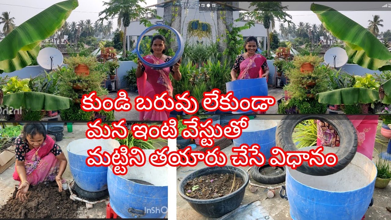 కోకోపీట్ వాడకుండా కంపోస్టు చెయ్యకుండా మొక్కలు పెంచే విధానం#మాబుజ్జితోటఛానల్ #gardening