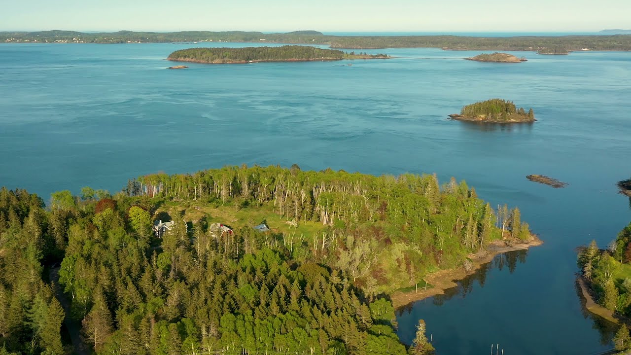 Waterfront Property for sale - 629 North Lubec Rd.  Lubec Maine - Due East Real Estate, Greg Walston