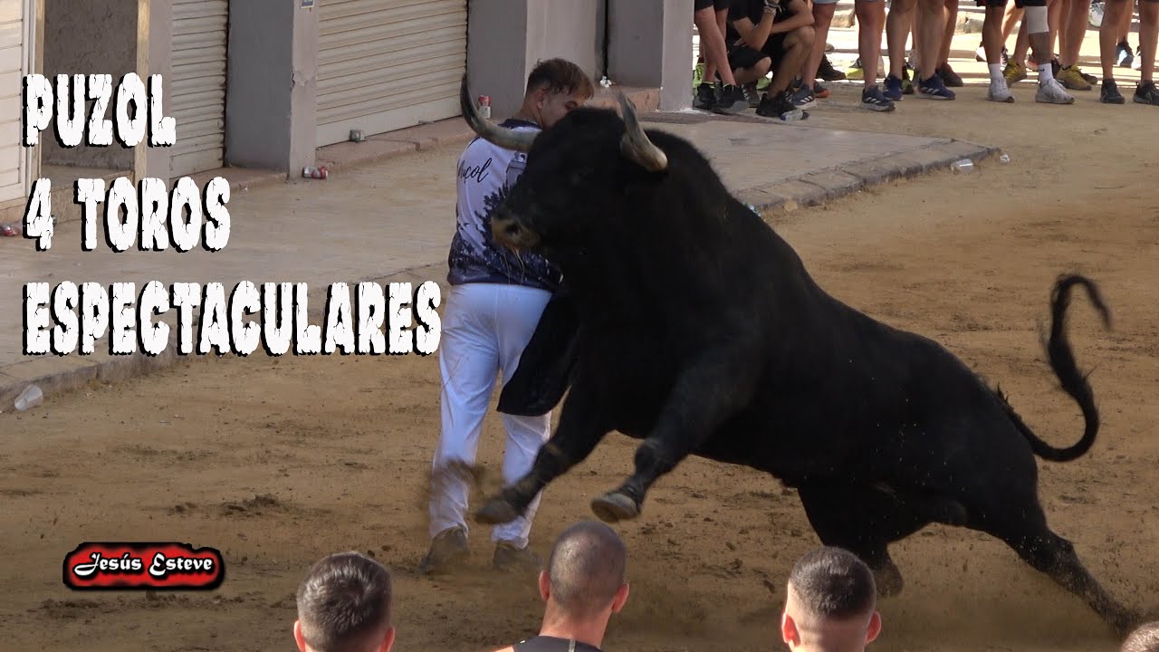 PUZOL 4 TOROS GERARDO ORTEGA