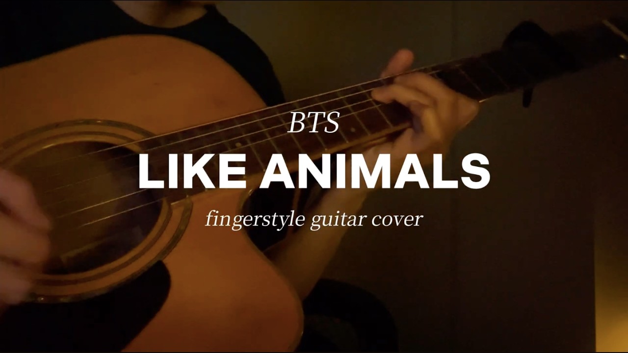 BTS - like animals (fingerstyle guitar cover)