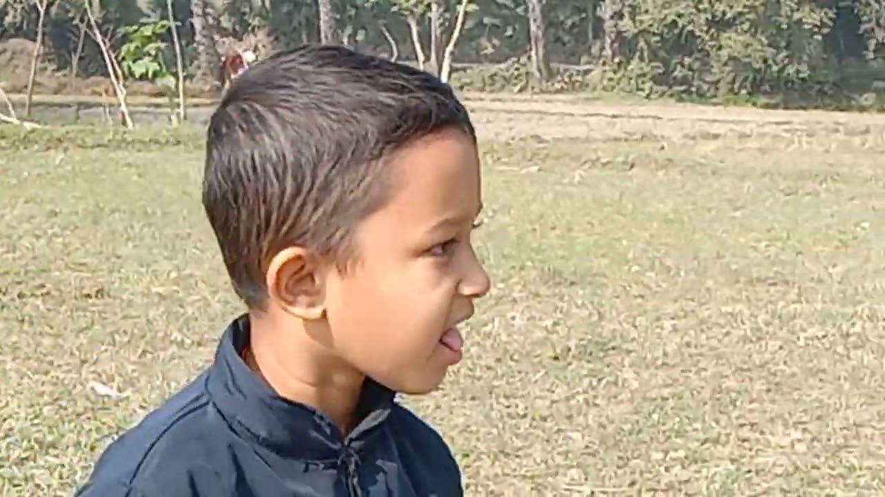 গ্রামের প্রাকৃতিক দৃশ্য দেখতে খুবই চমৎকার 