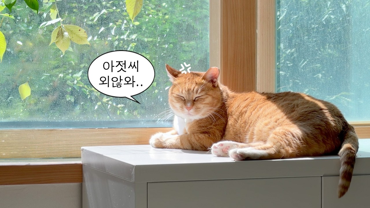 남집사가 떠난지 어느덧 4주차...