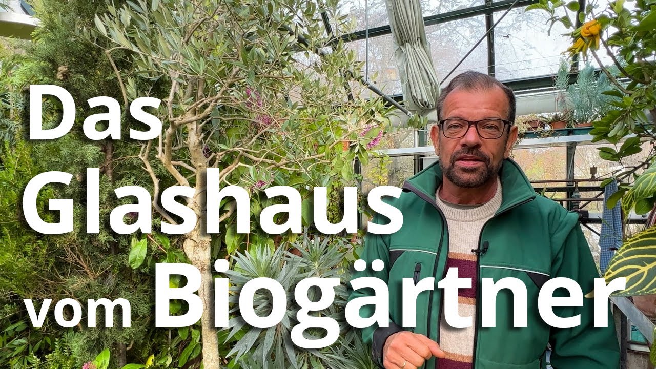 Das Glashaus des Biogärtners
