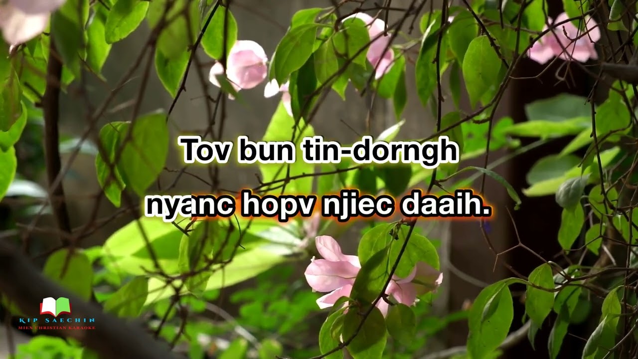 267 Nd. Yie Oix Ndaam Ziepc Nzaangc Jaax Gan Ziouv
