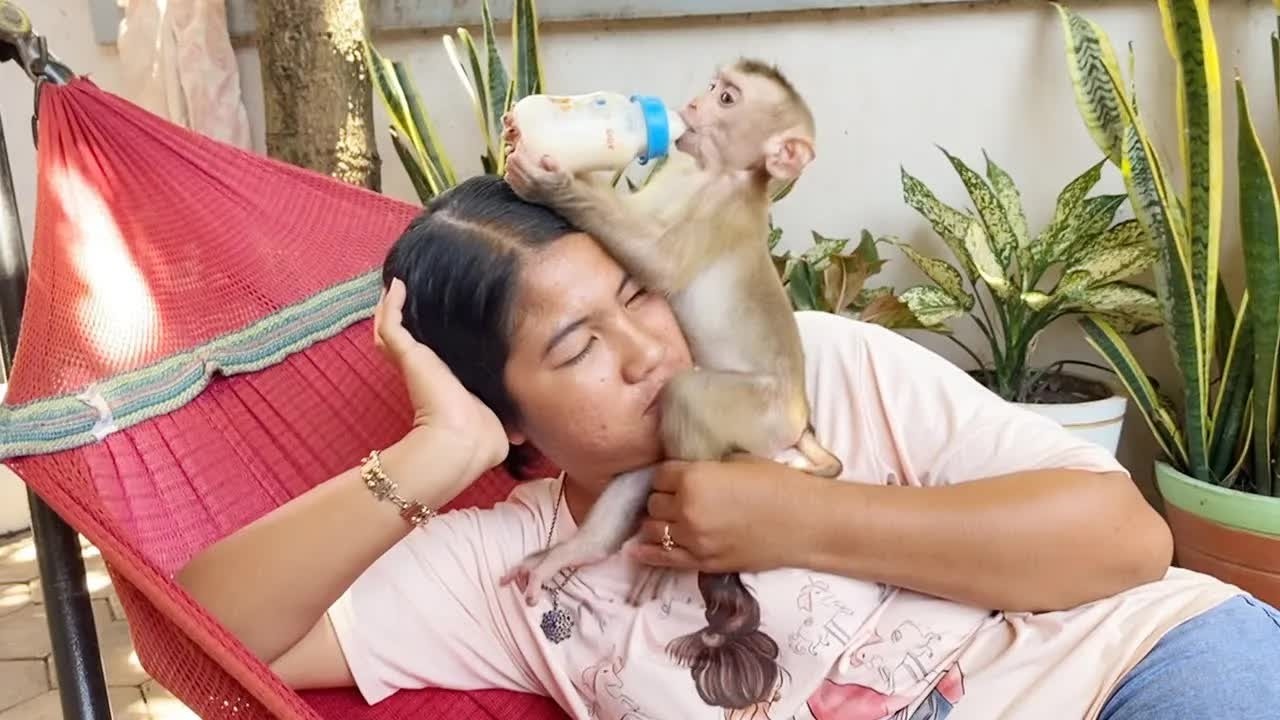 Sweetie Baby DAM Has So Much Affectionate From Mom & Family