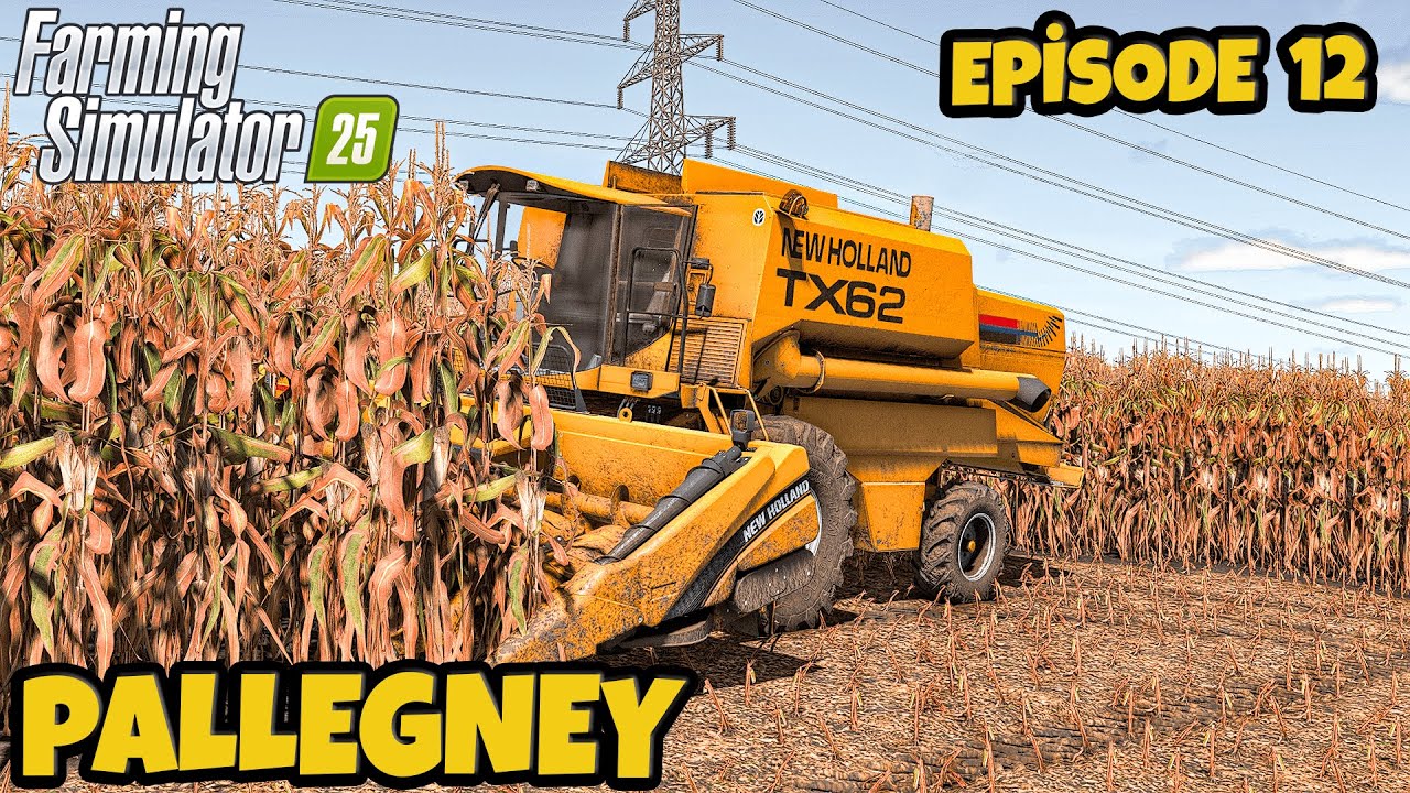 MISIR HASADI🧑‍🌾 OTU TOPLAMA 🛒💪 ÇAYIR GÜBRE ATIMI🐄 ✨ ||Pallegney'de Bölüm 12 | FS25