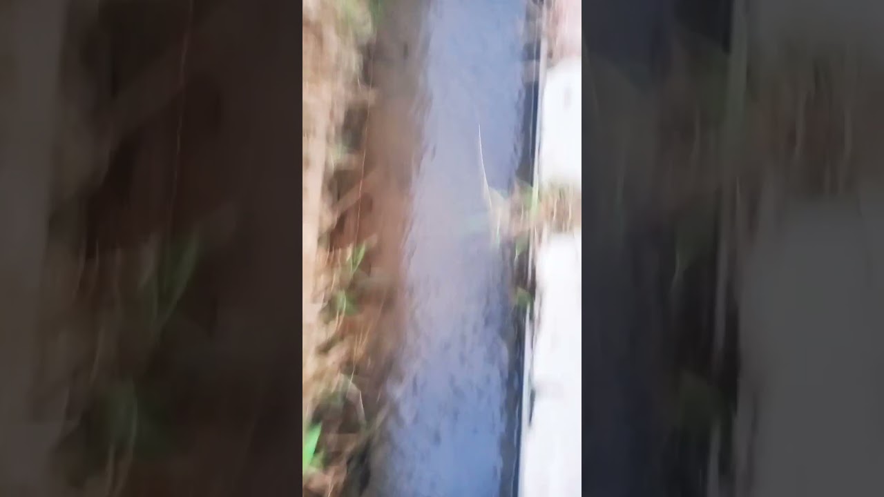 Punjab Pakistan field 