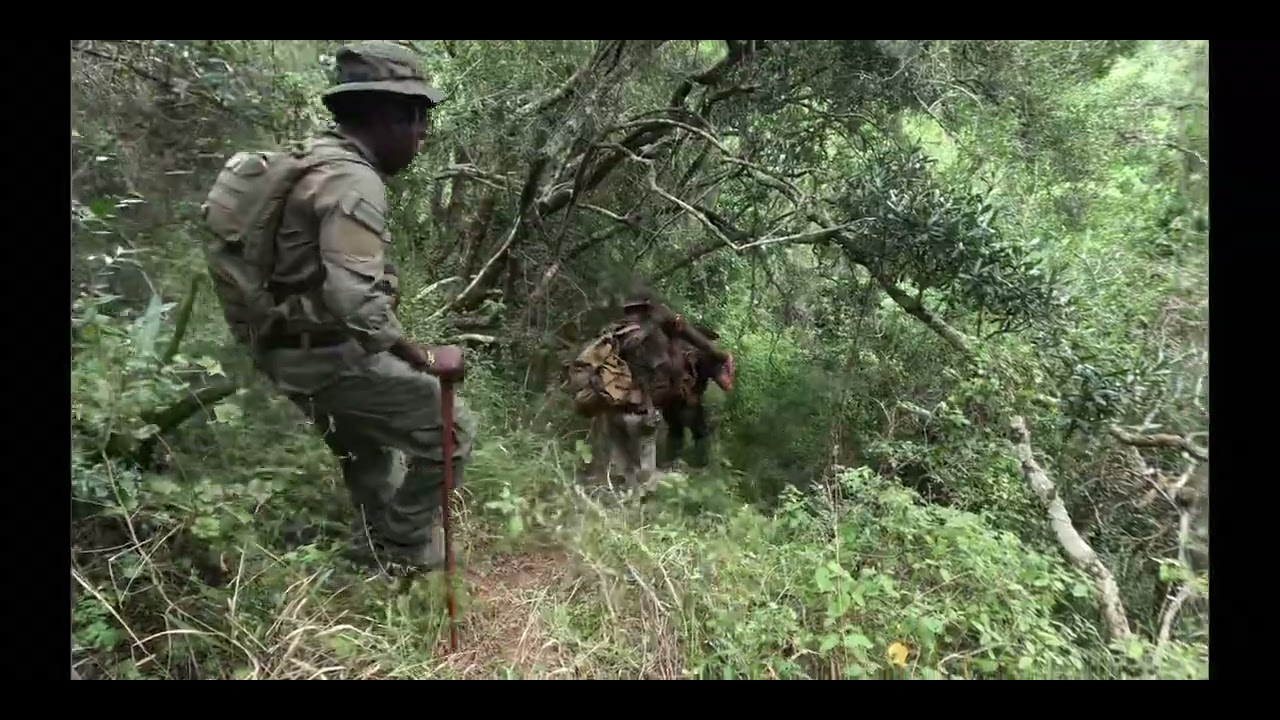 Anti-Poaching Ranger Bootcamp Week 1