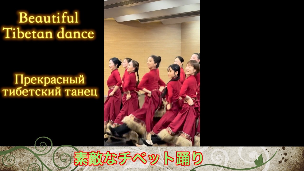 素敵なチベット踊り/Прекрасный тибетский танец/Beautiful Tibetan dance/dance