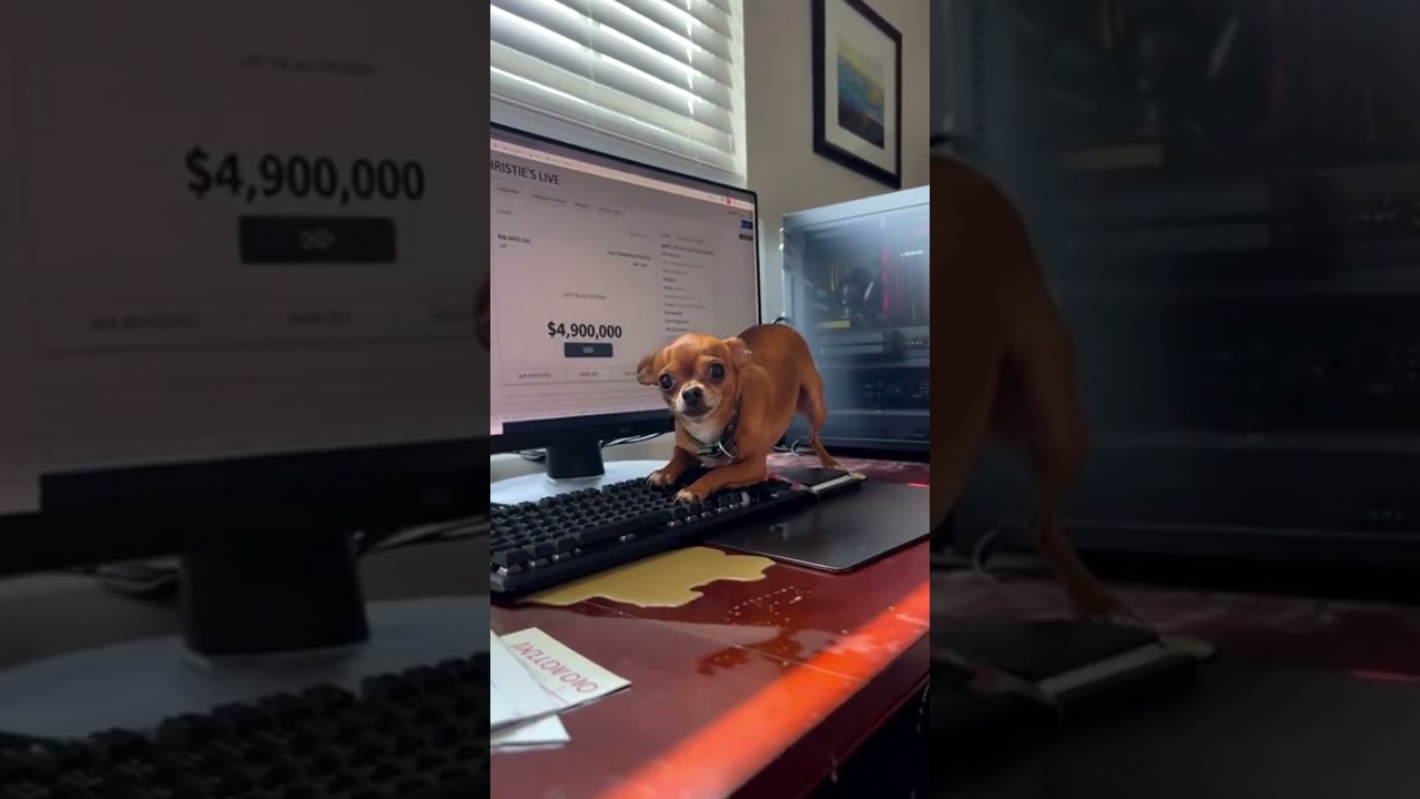 Try not to laugh 