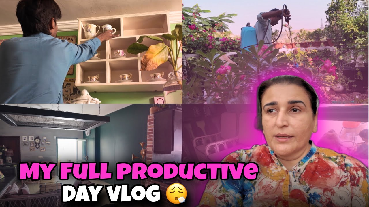 Full Day Vlog | Potash Spray on Plants 🌱 + Kitchen Sparkle + Defence Ke Ghr Ka Look Reveal 😍