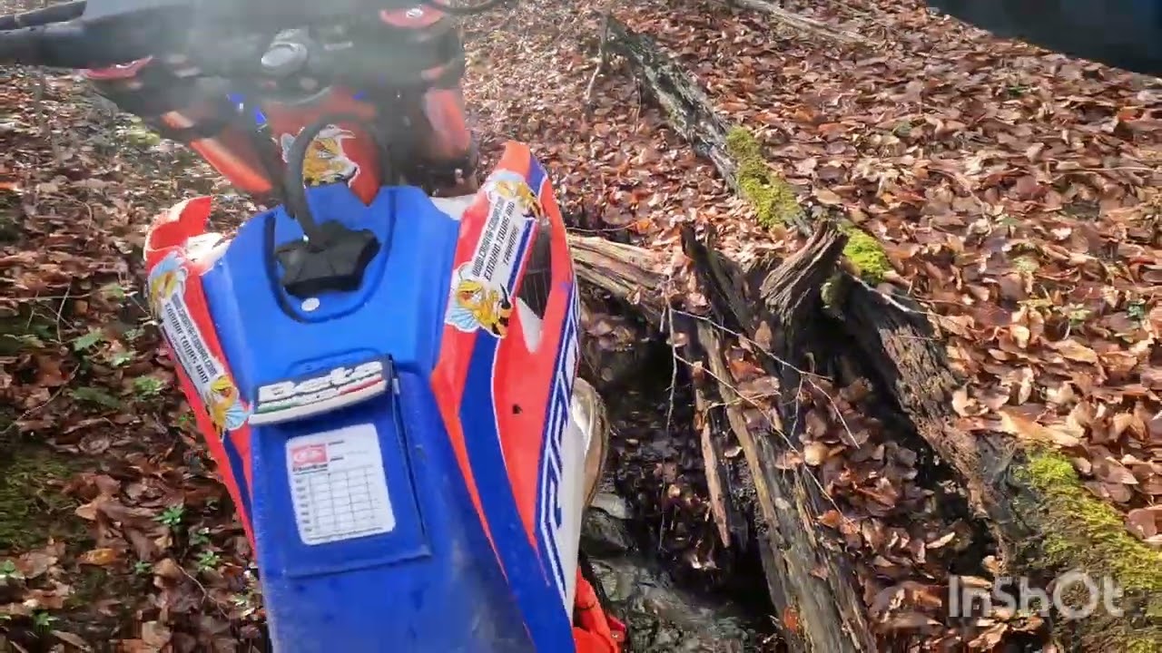 Hard enduro warm up with  Beta 300 race 2025