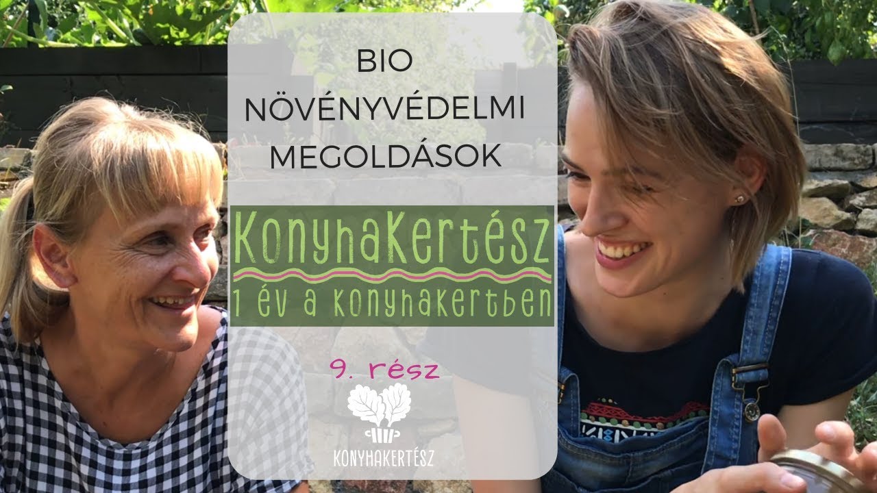 Bio növényvédelem - megoldások a leggyakoribb kártevők ellen!