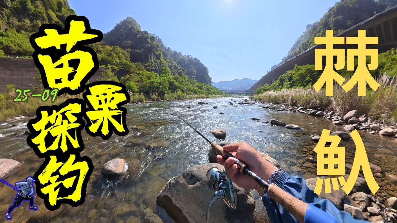 菜鳥打捲仔，跟著老手到苗栗公館後龍溪遼K打捲仔!! #捲仔 #何氏棘魞 #lurefishing #賽門哥 #出磺坑