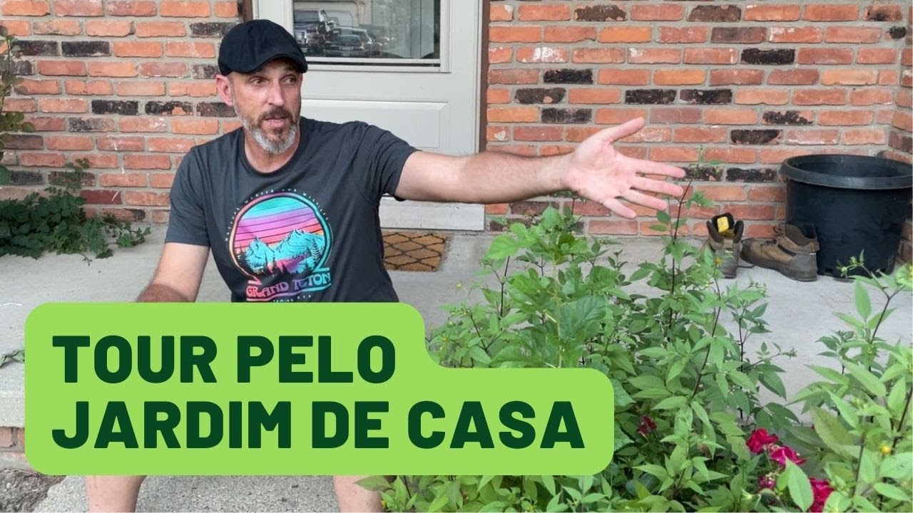 Tour pelo jardim de casa #jardimrenovado #jardimmaravilhoso