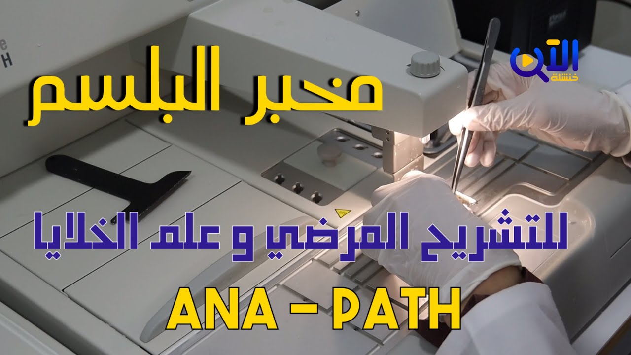 افتتاح مخبر البلسم للتشريح المرضي وعلم الخلايا ANA-PATH، في ولاية خنشلة