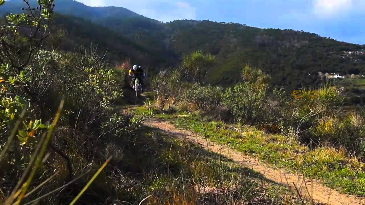 Schwalbe Hans Dampf Promo
