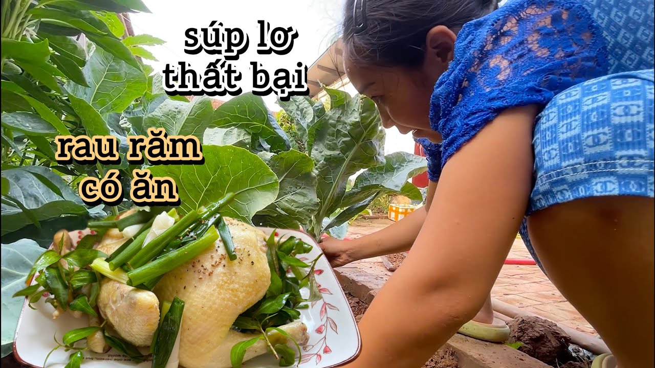 #693 Dọn Vườn Gọn Lại Cắt Rau Lang Xanh Mướt Và 2 Bụi Sả Già Để Dành Mùa Đông Xong Nấu Bữa Cơm Trưa