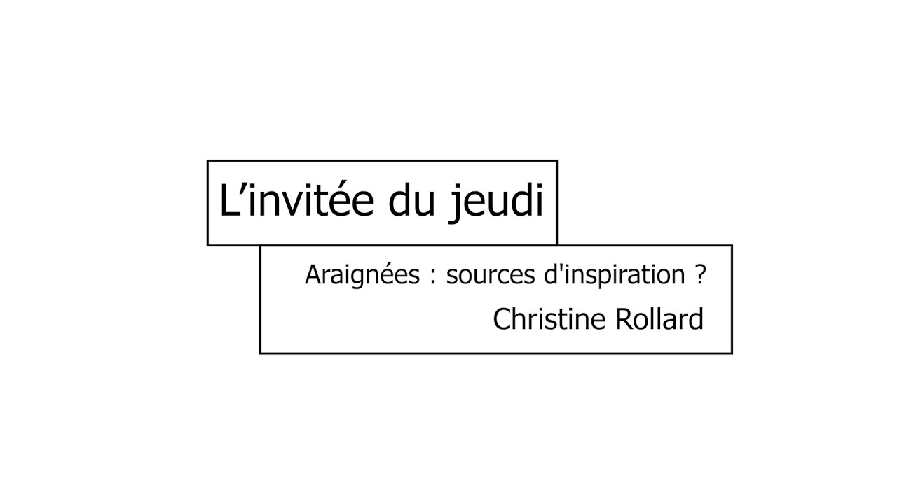 L'invitée du jeudi : Araignées : sources d'inspiration ?
