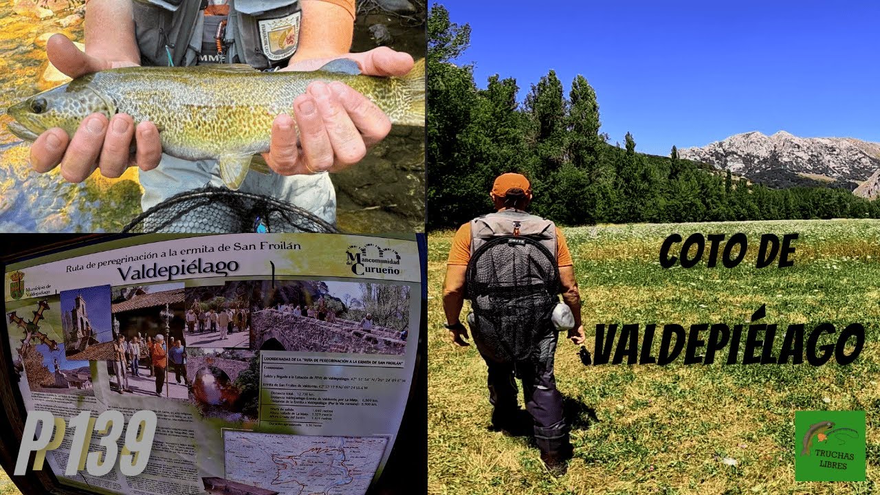 PROYECTO 139 | COTO DE VALDEPIÉLAGO 🏞️ RÍO CURUEÑO