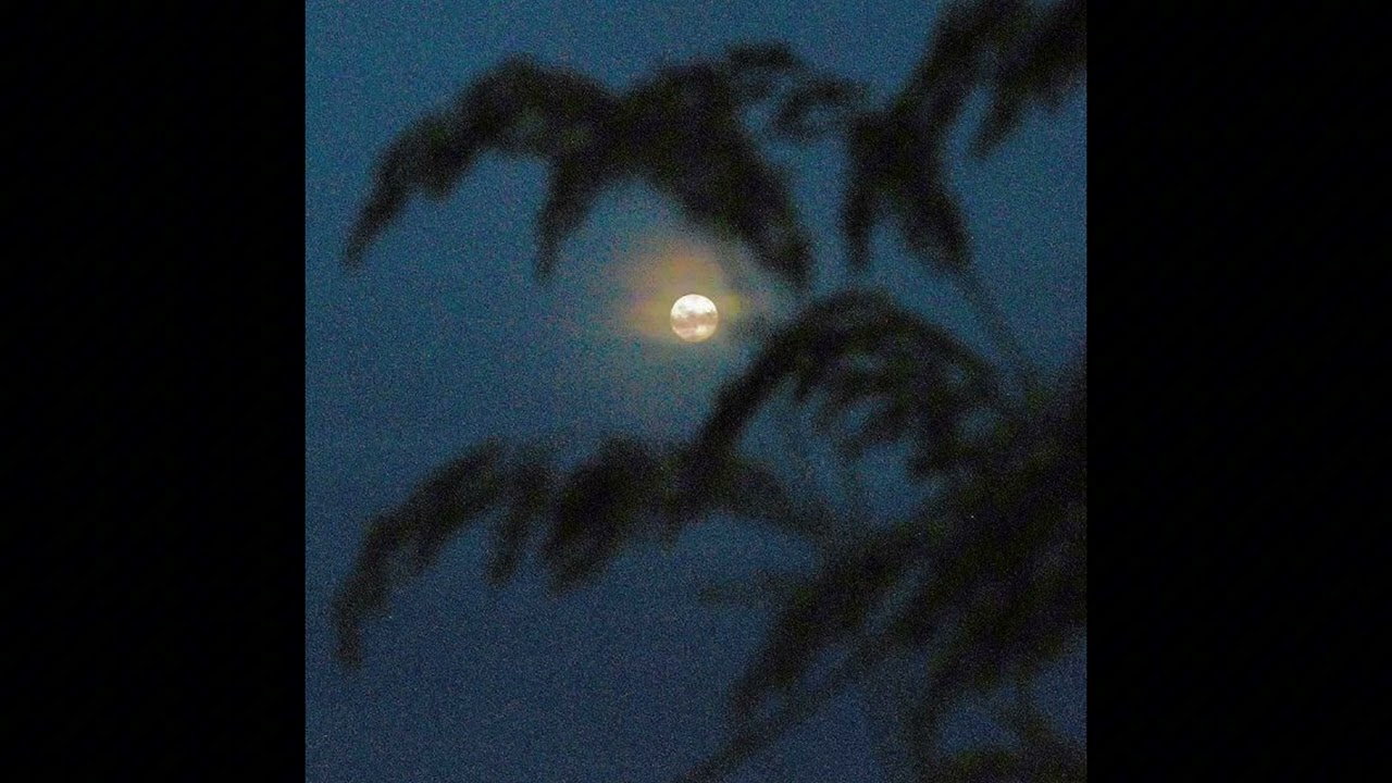 [FREE] iayze type beat - 