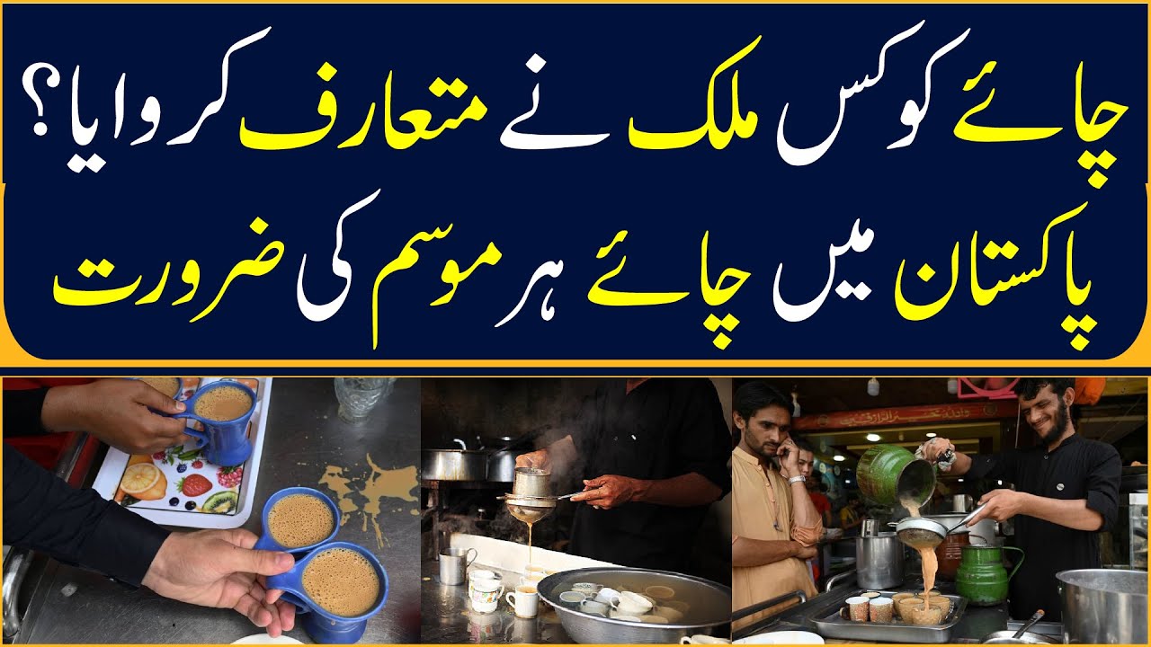 Who Introduced Tea? Why Pakistan Loves Tea in Every Season 