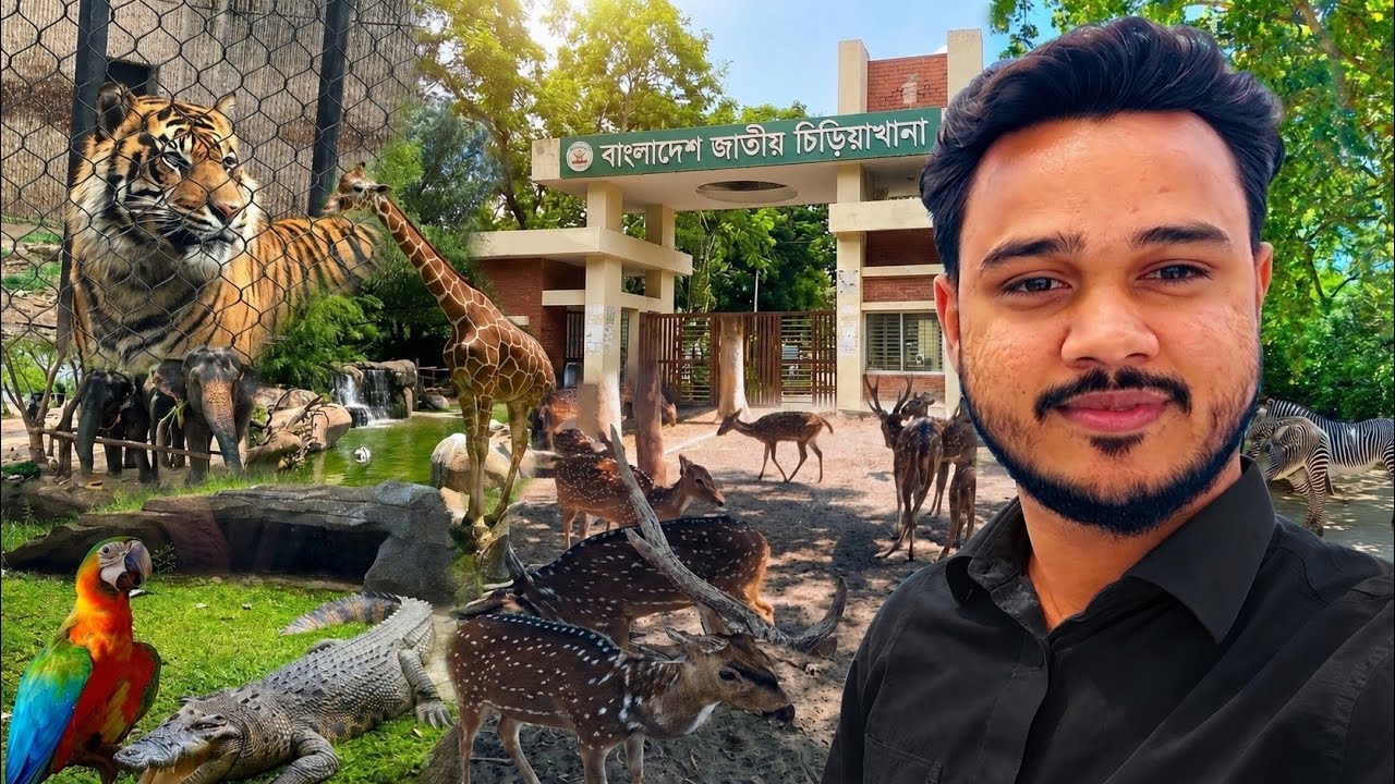 বাঘ, সিংহ আর প্রকৃতির মাঝে একদিন! জাতীয় চিড়িয়াখানা | Bangladesh National Zoo | Footsteps of Hasaan