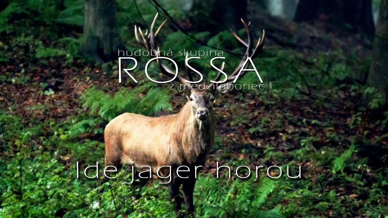 ROSSA 2 - Ide jager horou