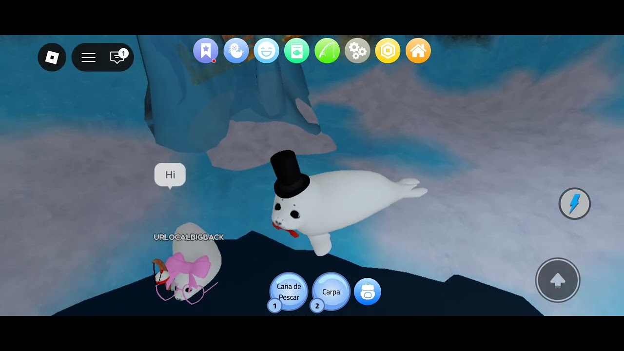 Soy una foca :D (be a silly seal)