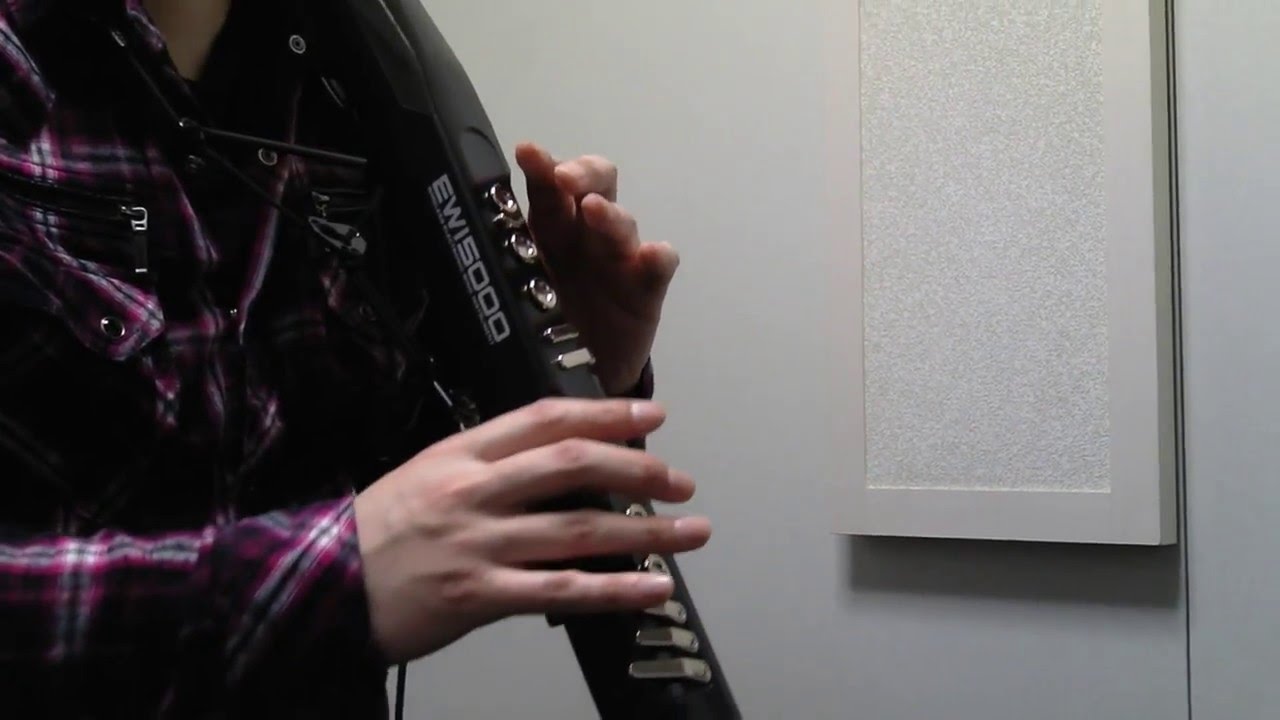 EWI5000　ホール・ニュー・ワールド　【EWI】
