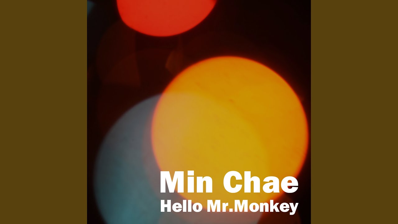 Hello Mr. Monkey