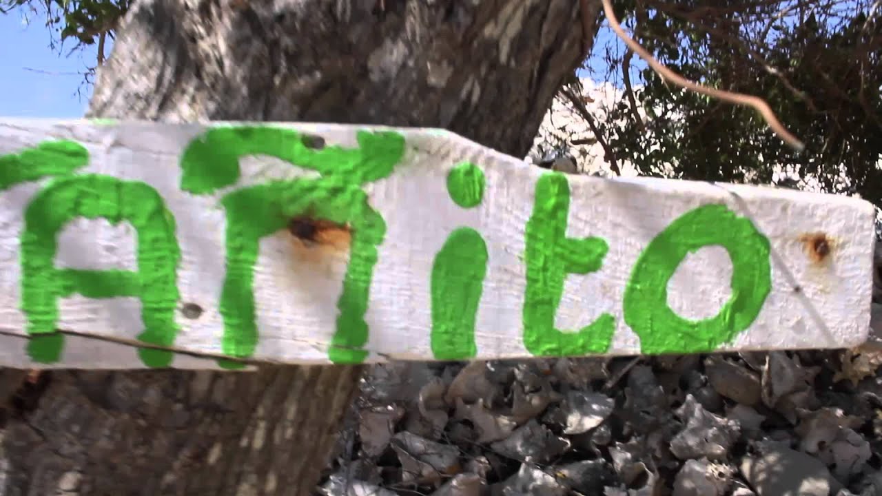 Video con lente 24mm