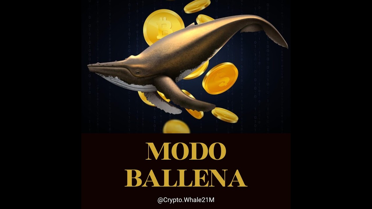 Crypto Whale  Live Stream
