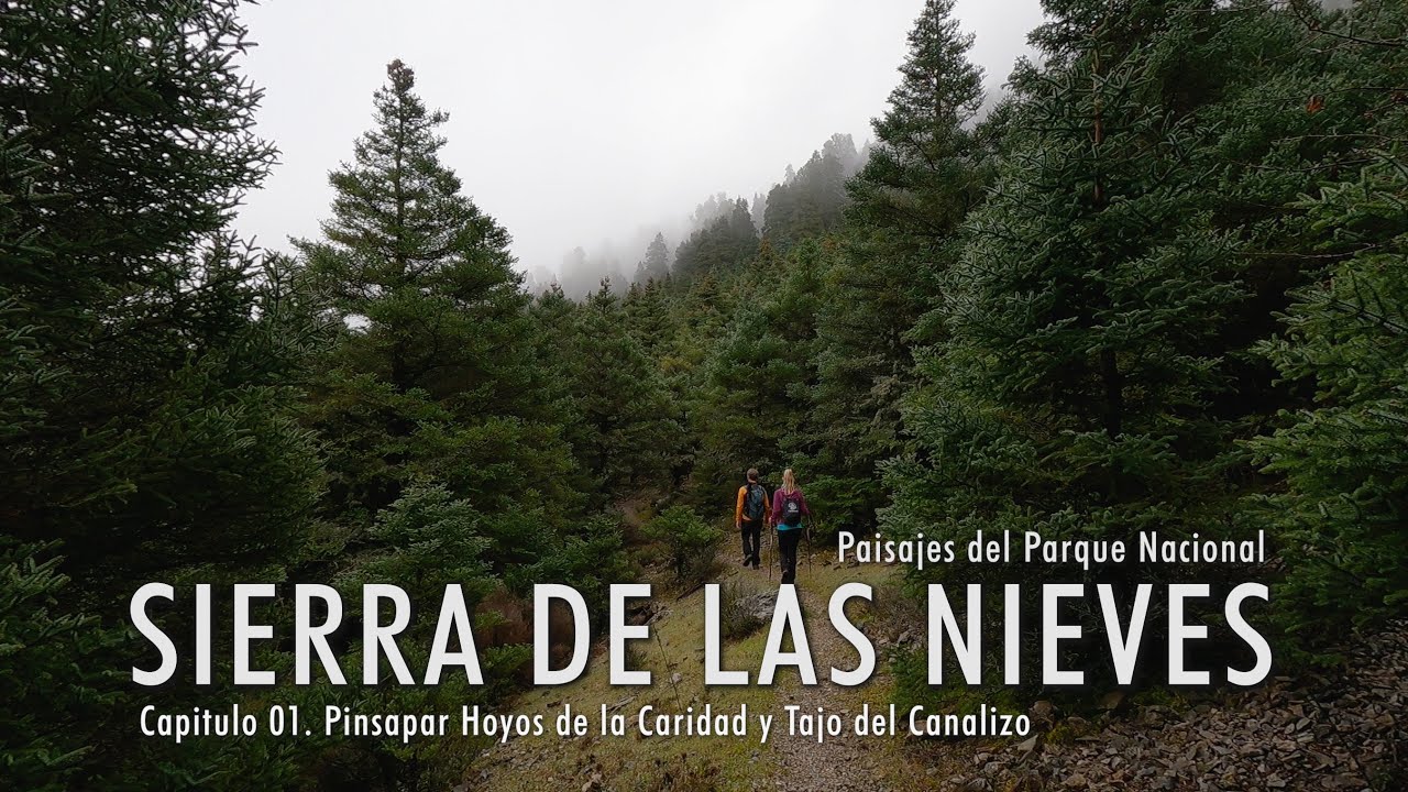 Paisajes del Parque Nacional Sierra de las Nieves. Capitulo 01: Pinsapar Hoyos de la Caridad