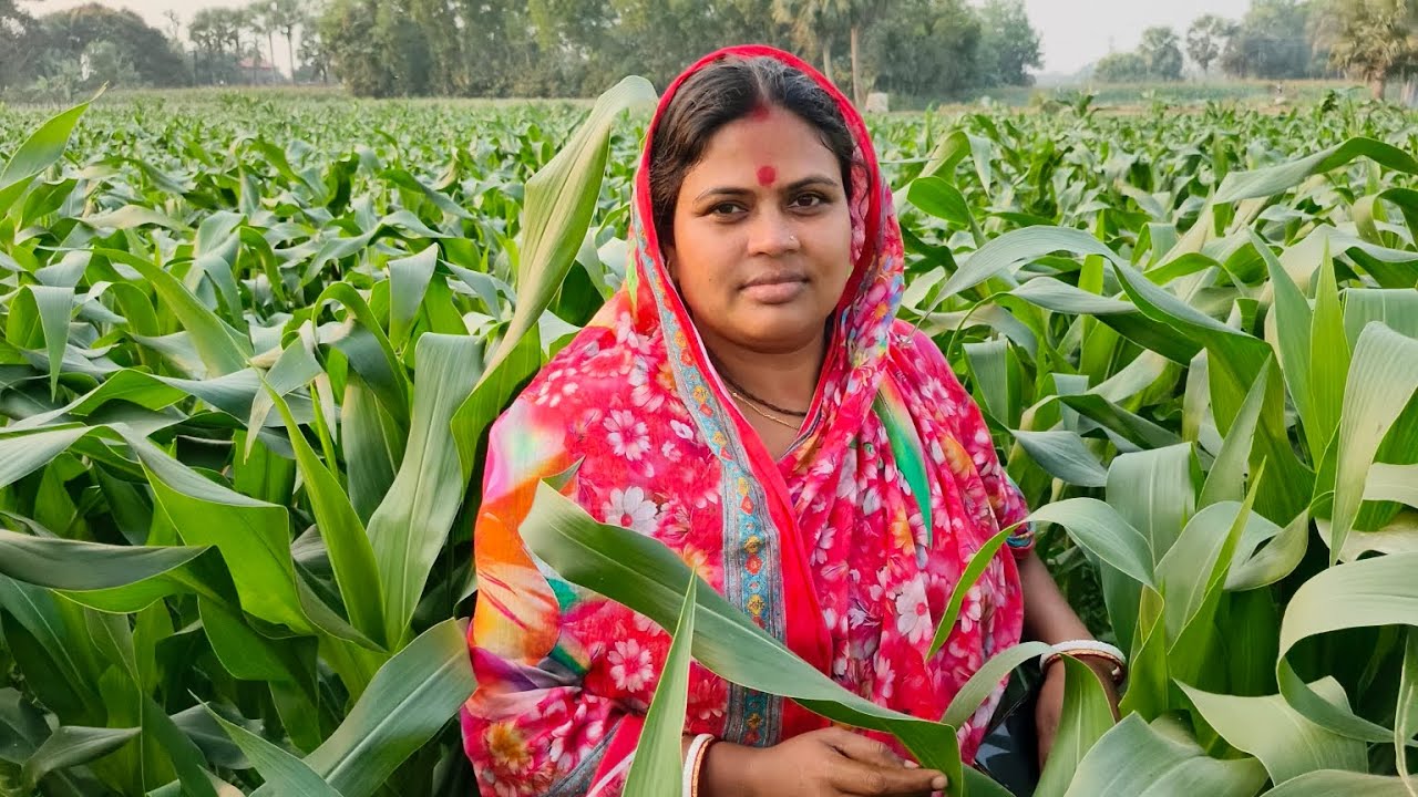 আমাদের গ্রামে নেই, কিন্তু এখানে আছে 😍 | Daily vlog 